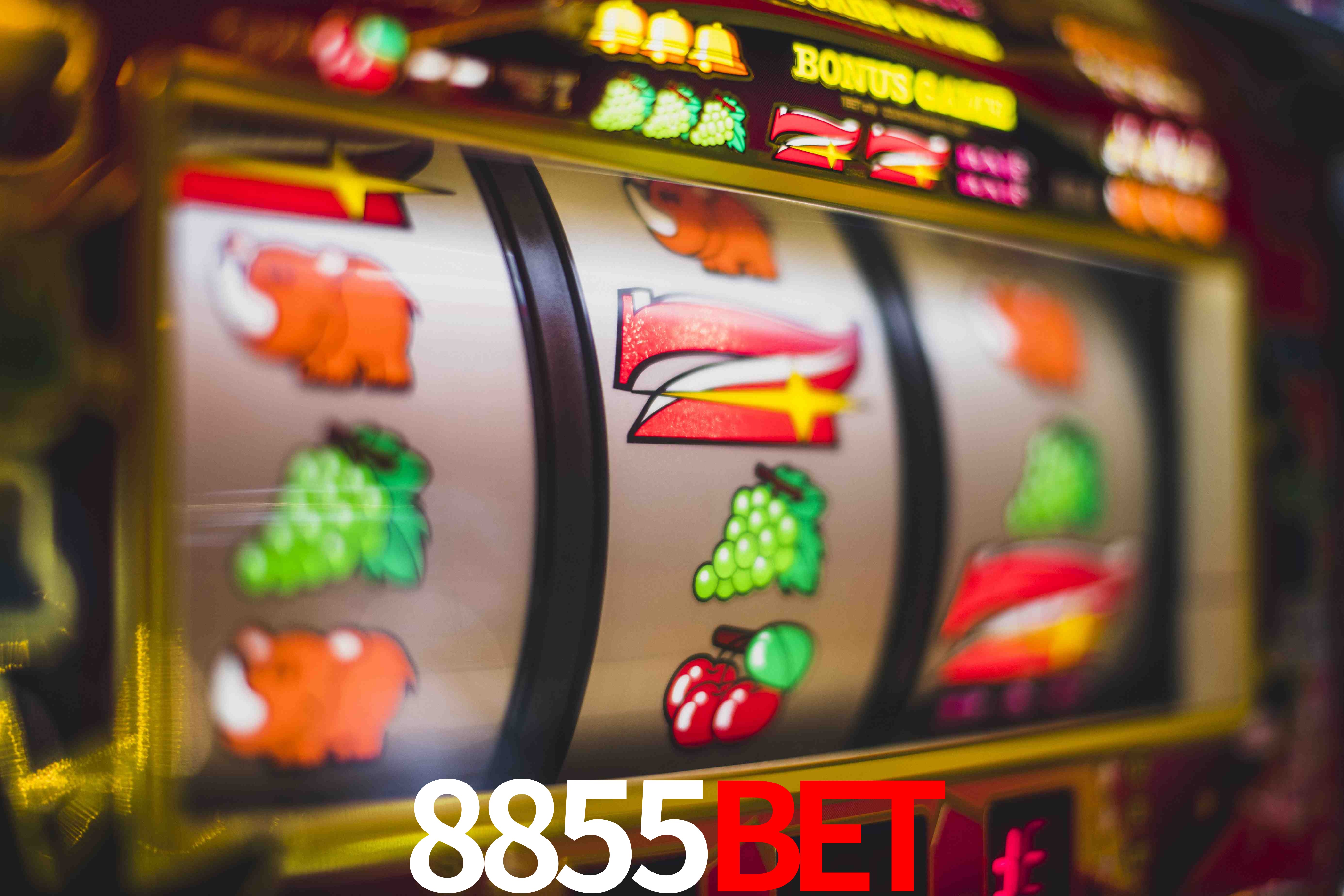 Basketball Betting 8855bet